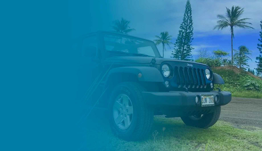 jeep rental hilo hawaii Beautifully  Log Picture Show