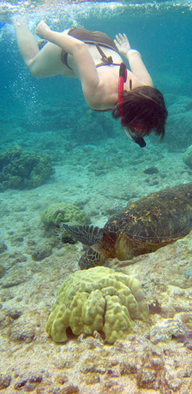 snorkel experience in Kona